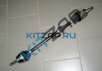 ������ ���� ������ (� �����) ����_����_0