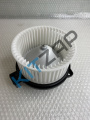 ����� ��������� 